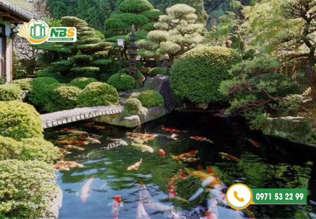 Mẫu hồ cá Koi đẹp trong sân vườn Nhật Bản