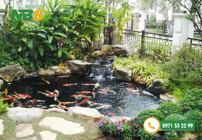Mẫu hồ cá Koi mini làm nổi bật khu vực sân vườn của bạn