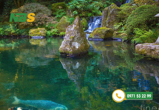 Những hồ cá Koi Nhật thường tận dụng vẻ đẹp thô của đá tự nhiên